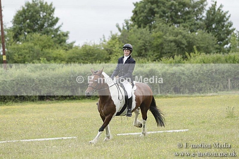 BVR160717-1387 - Class 3 Dressage 16/07/17