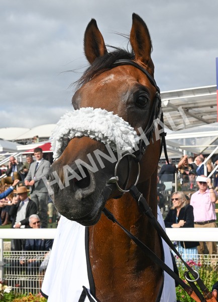 210825-231 Stellar Sunrise - Race 6 4.45pm Mews Hotel Ossett EBF Stallions Nursery Handicap