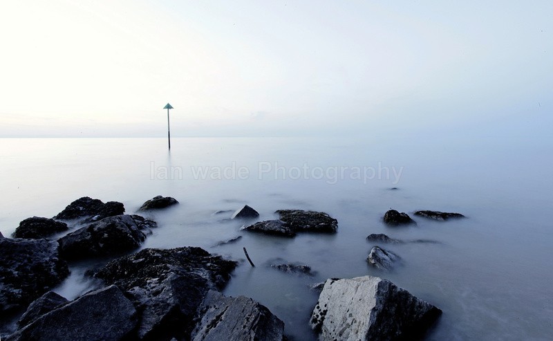  - Coastal Wildlife