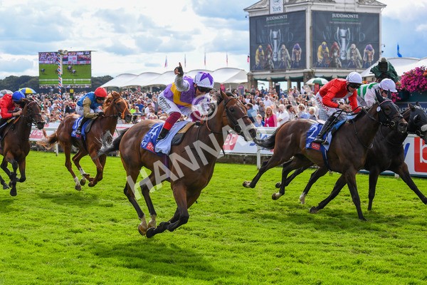 260823-Race 3-Kinross-0491 - Race 3 Sky Bet City Of York Stakes