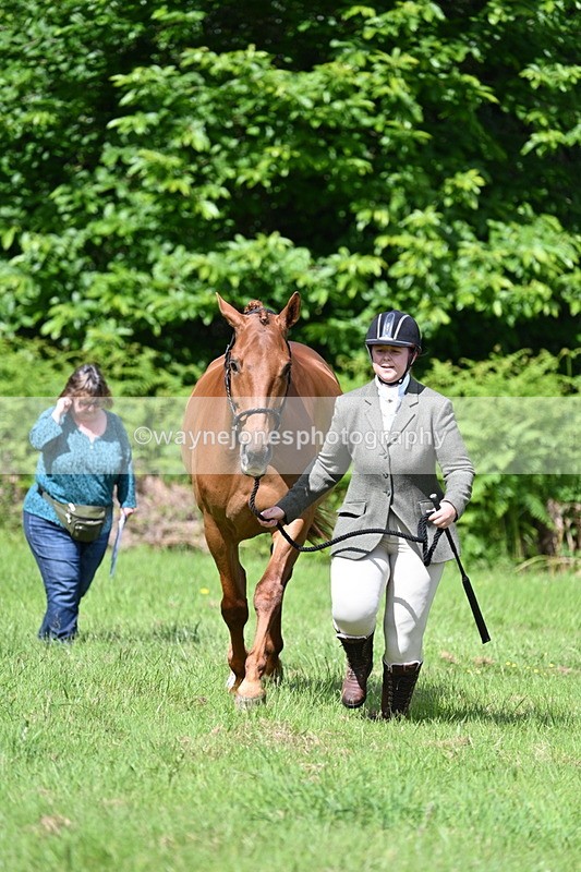 WJ7_1067 - Class 11 Condition & Turnout