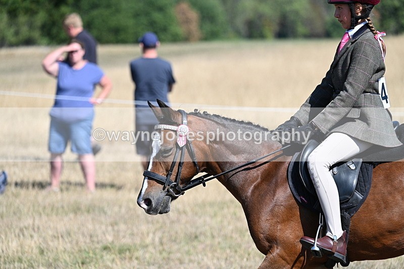WJ7_4087 - Class 9 Mountain & Moorland Ridden