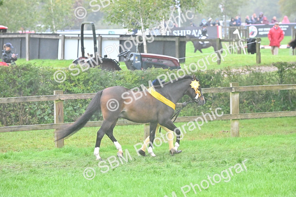 SBM_72159 - Equitation Supreme Championship