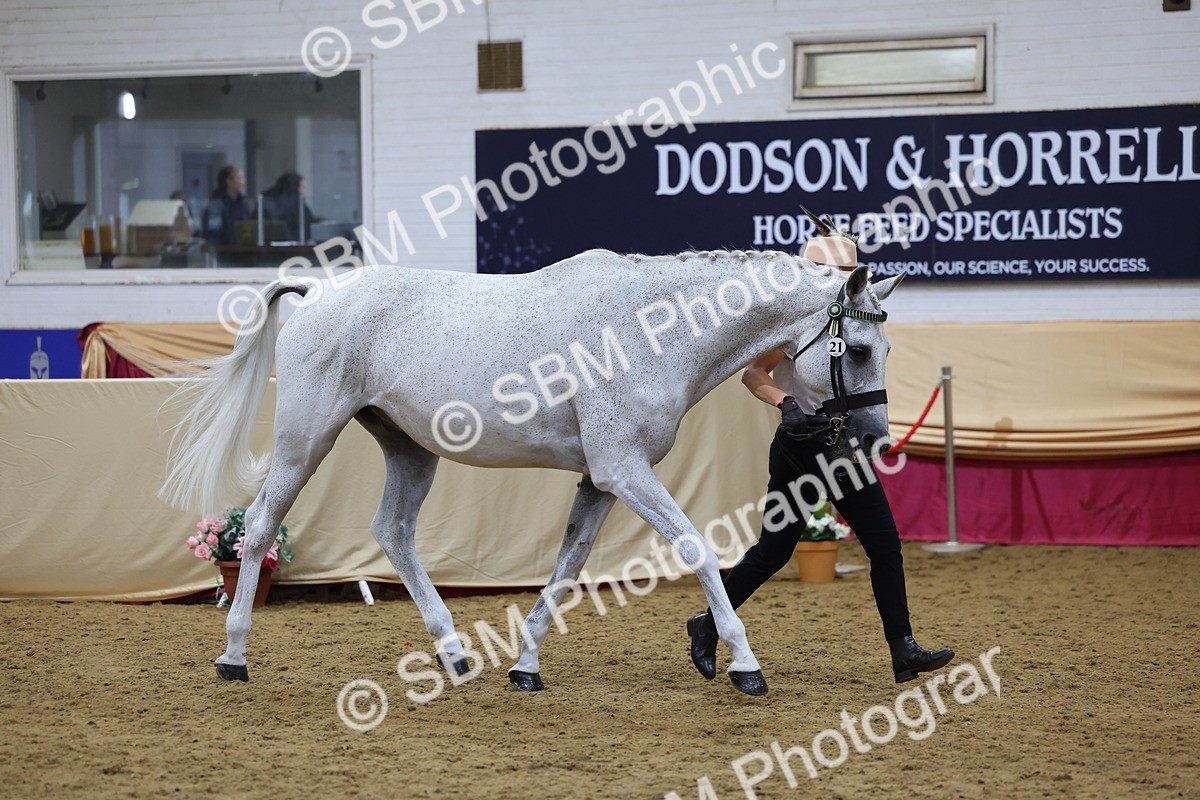 SBM_20910 - Class 902 - Supreme Final IH Veteran