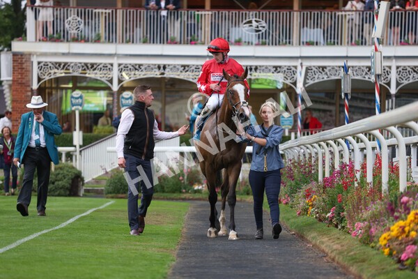 yr22072022r6-26 - Race 6 7.50pm Gallop Racing Stakes