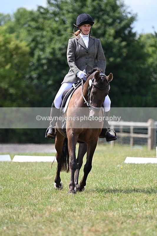 WJ7_4834 - Time 11:22 to 11:51