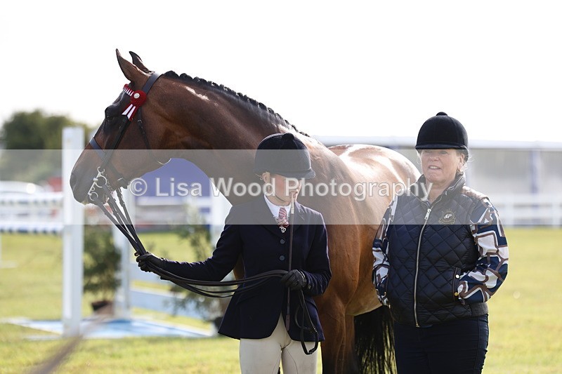 3E7A8263 - Class 2: Rising Star Large Hack/Riding Horse