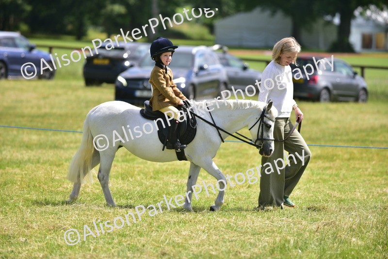 20260614-1109 - Class 11a - Lead Rein Pony (Unplaited)