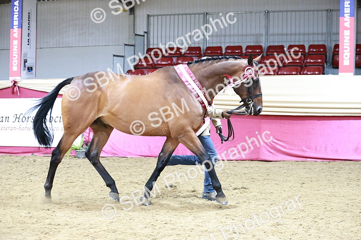 SBM_06675 - Regional - IH Champs