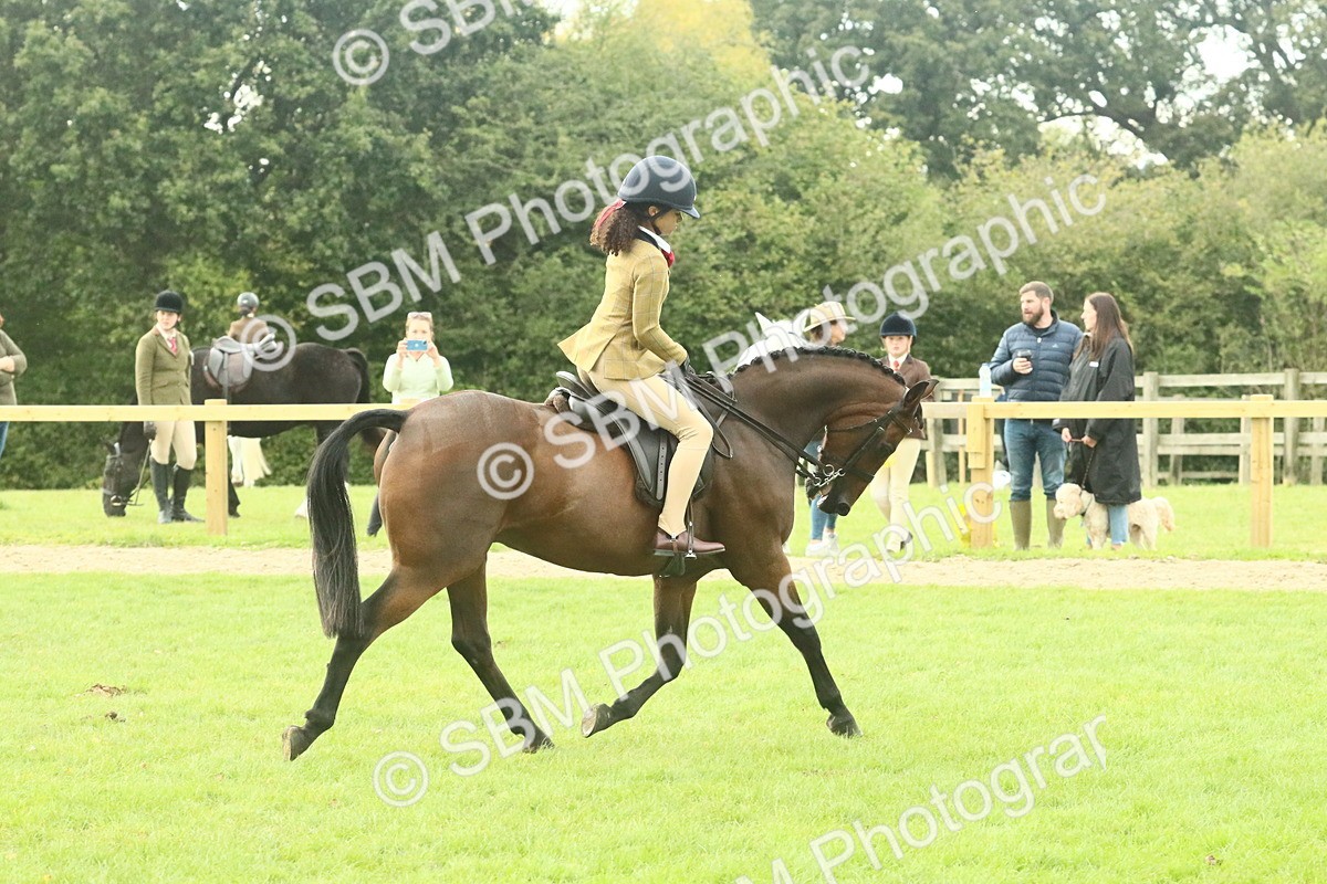 SBM_74087 - S 61 - Show Pony & Show Hunter Pony Ridden