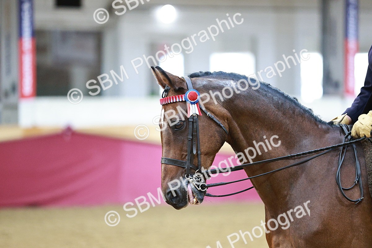 SBM_08259 - Class 11R - Regional Ridden Veteran