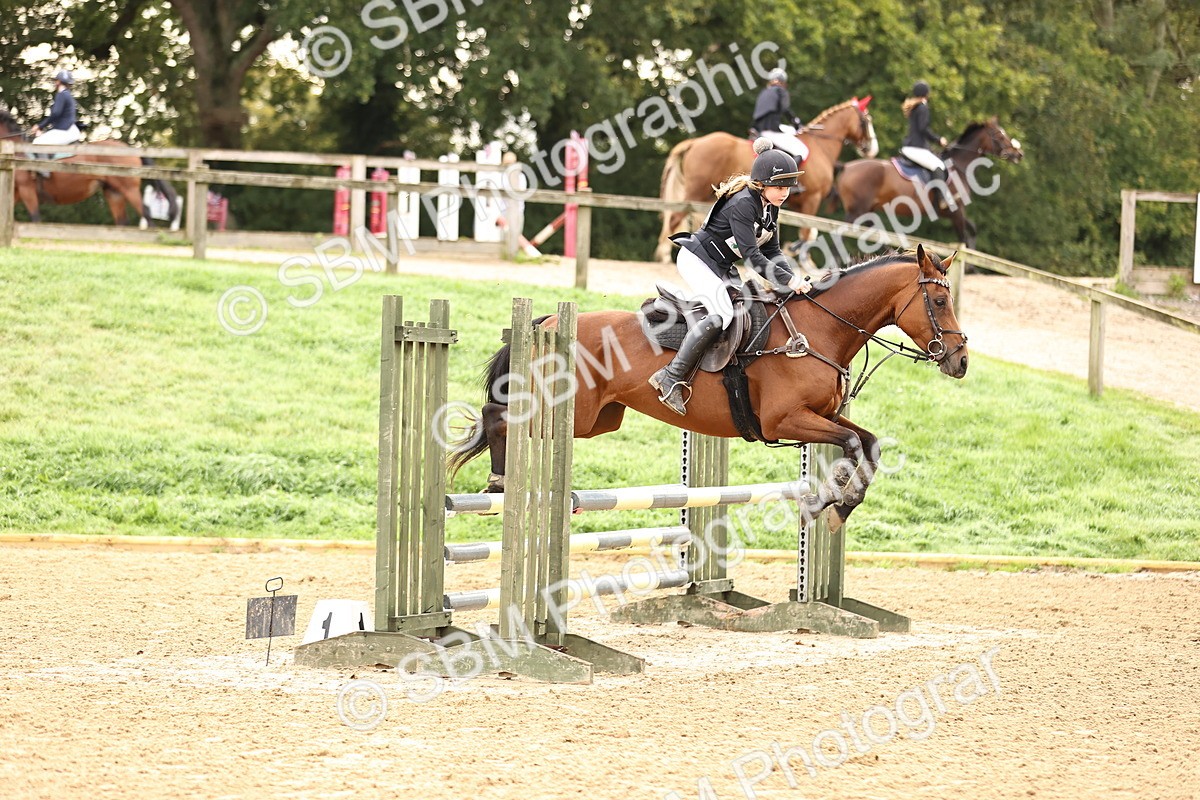 SBM_58382 - J41 - Grand Tour Horse & Pony 95cm