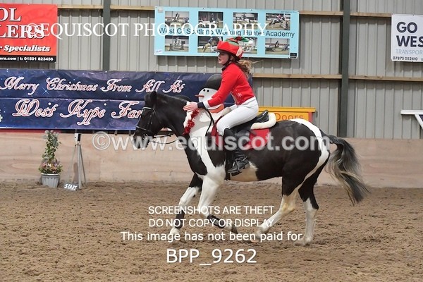 BPP_9262 - CLASS 5 60CM Progressive Show Jumping