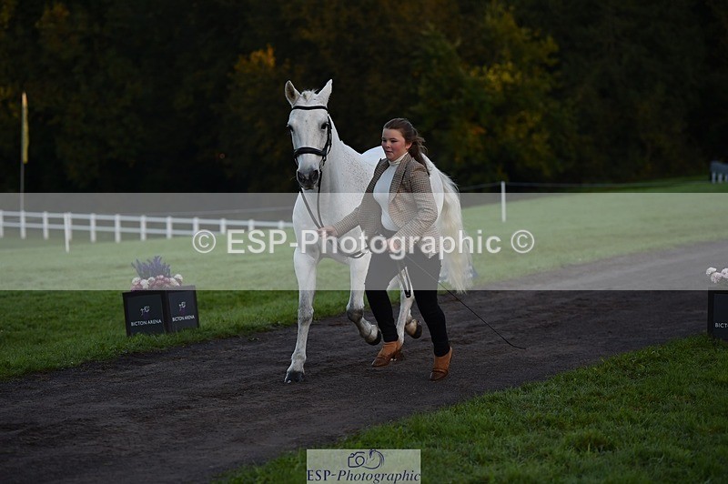 231022-083316-21224 - 659-MACS.BOY-Daisy.Fulton-TrotUp+SJ