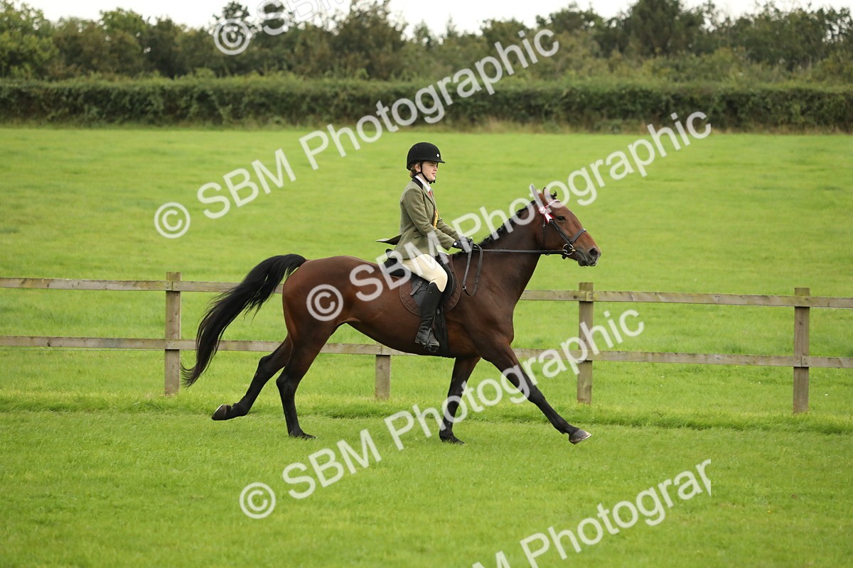 SBM_73875 - S41 - Ridden Equitation (Best Rider)