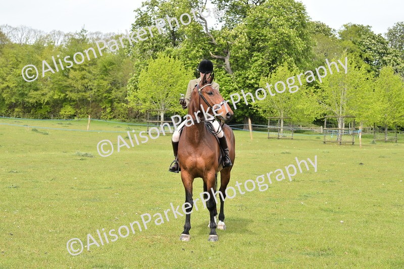 20260426-4542 - Ridden Showing Championship