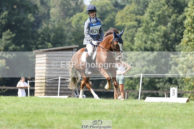 250823A-134339-31364 - Arena D