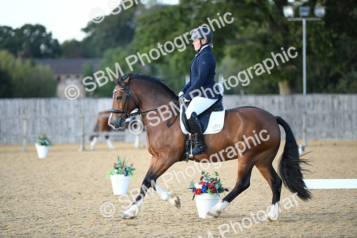SBM_30942 - D16 - Small Tour Championship - Novice 28