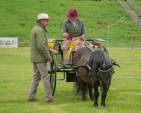 Attelage -1054 - CIAT Glamis 2026