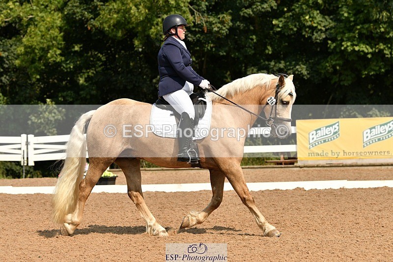 250817-113005-08611 - 216-Chloe.WaltonHaytors.Lord.of.the.Dance