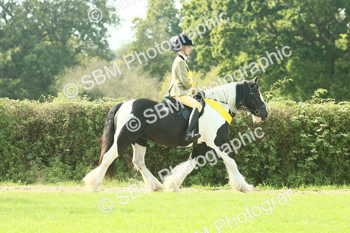 SBM_68991 - S58 - Mini Show Cob Ridden