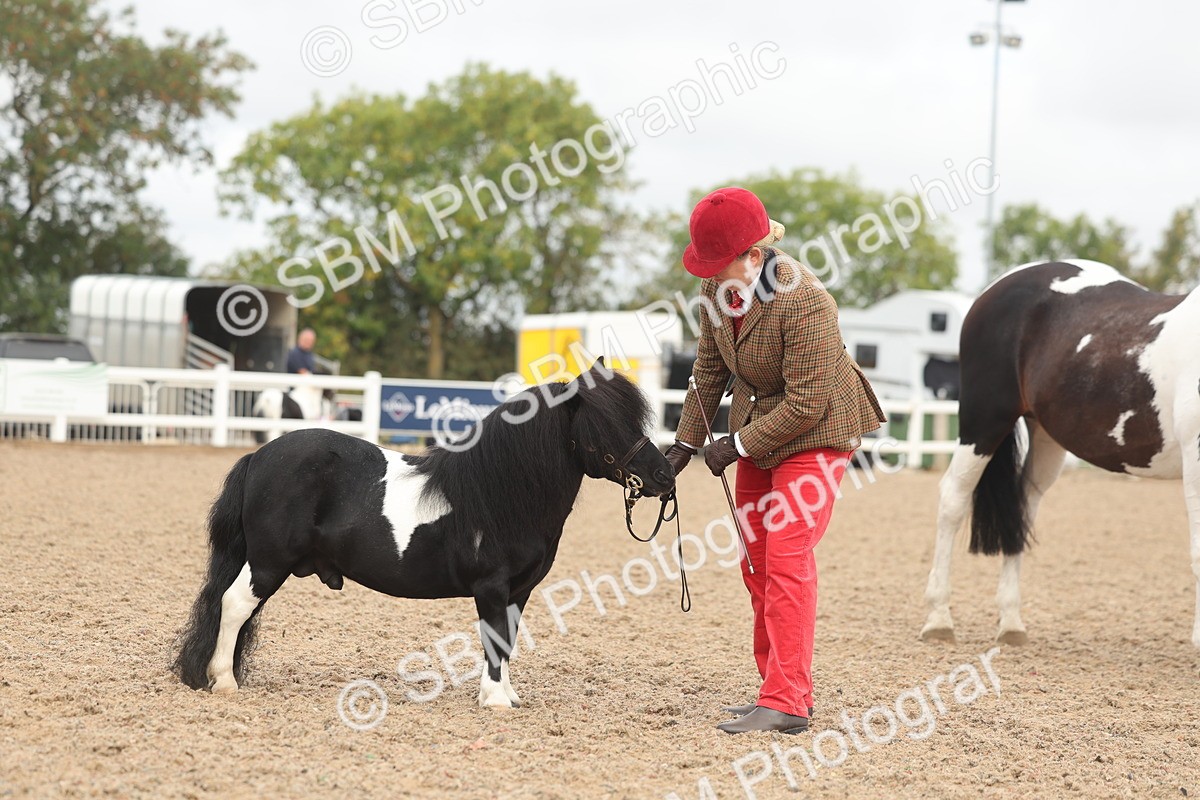 SBM_02122 - Class 15 - IH Coloured