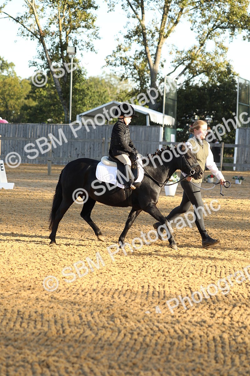 SBM_33558 - D26 - Starers - Lead Rein