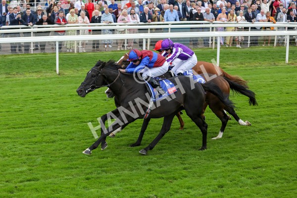 210824-Race 3-Los Angeles-7272 - Race 3 3.00pm Sky Bet Great Voltigeur Stakes