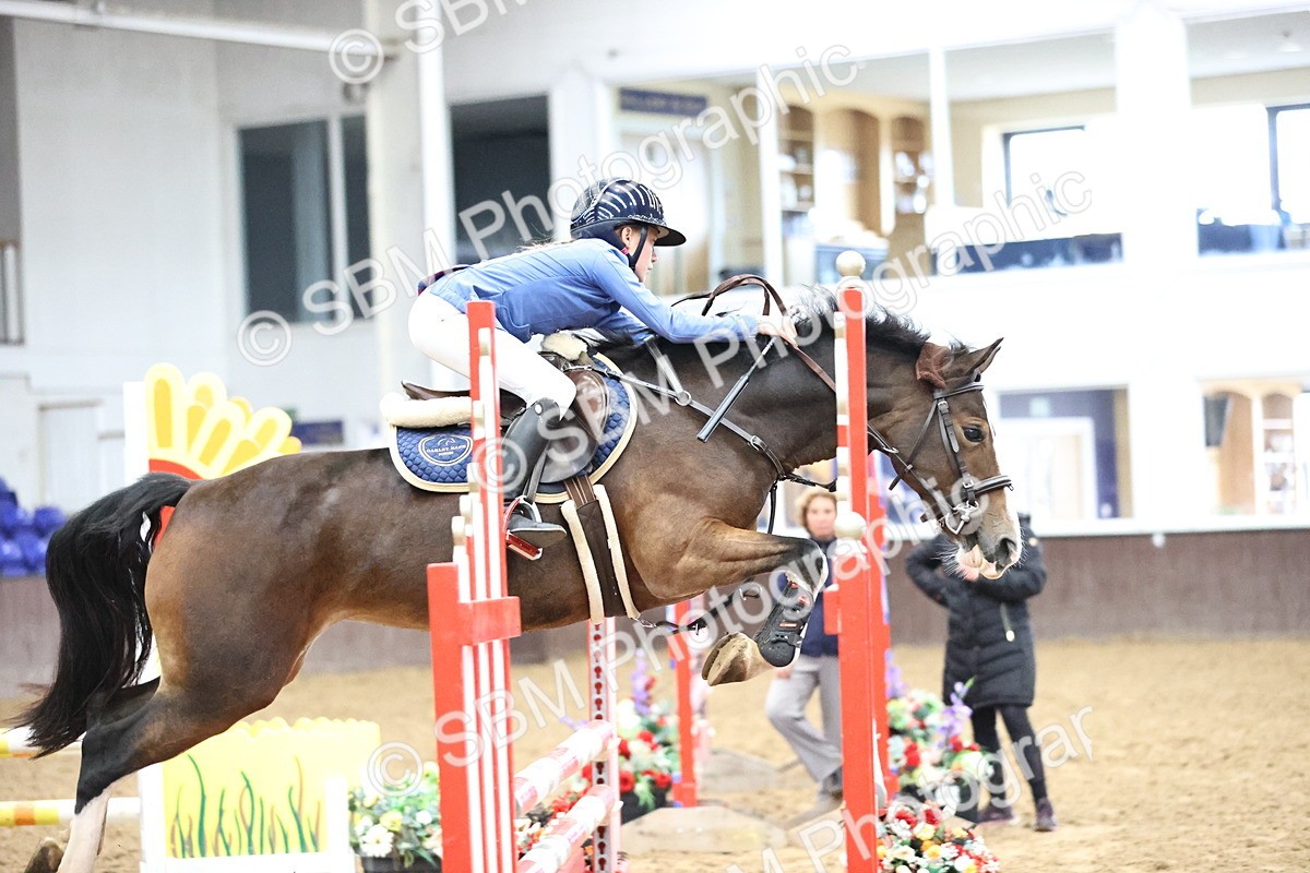 SBM_000263 - Class 2 - Pony British Novice - 80cm Open