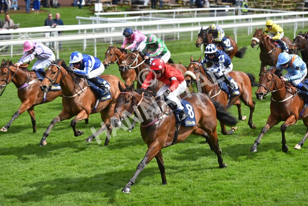 yr22052021r4-40 - Race 4 3.50pm WilliamHill.com Best Odds Guaranteed Stakes