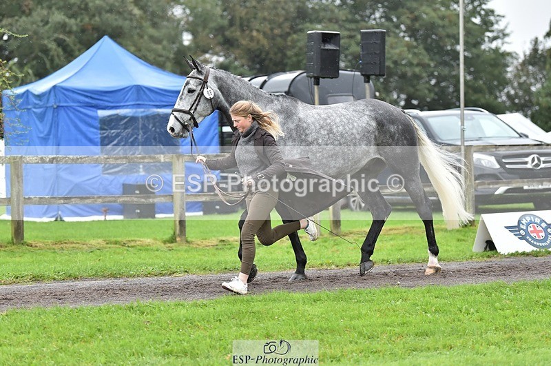 231018-124850-00539 - 068-DASSETT.PREMIER-Kate.Rocher-Smith-TrotUp