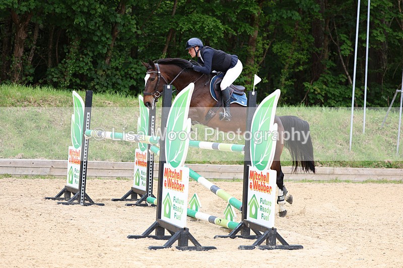 3E7A9586 - Class 9: Senior Foxhunter/1.20 open
