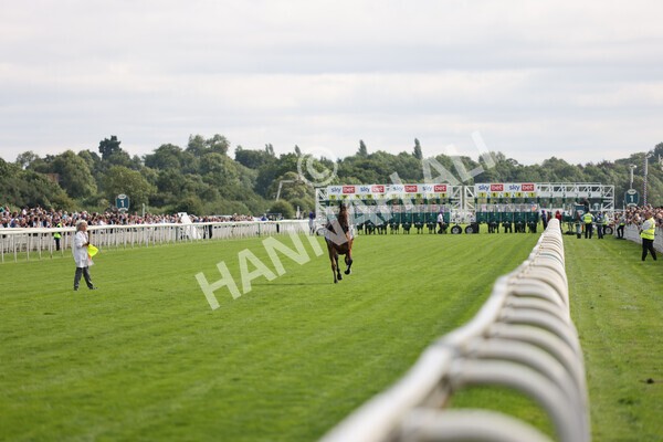 yr18082021r5-40 - Race 5 4.10pm Sky Bet Stakes