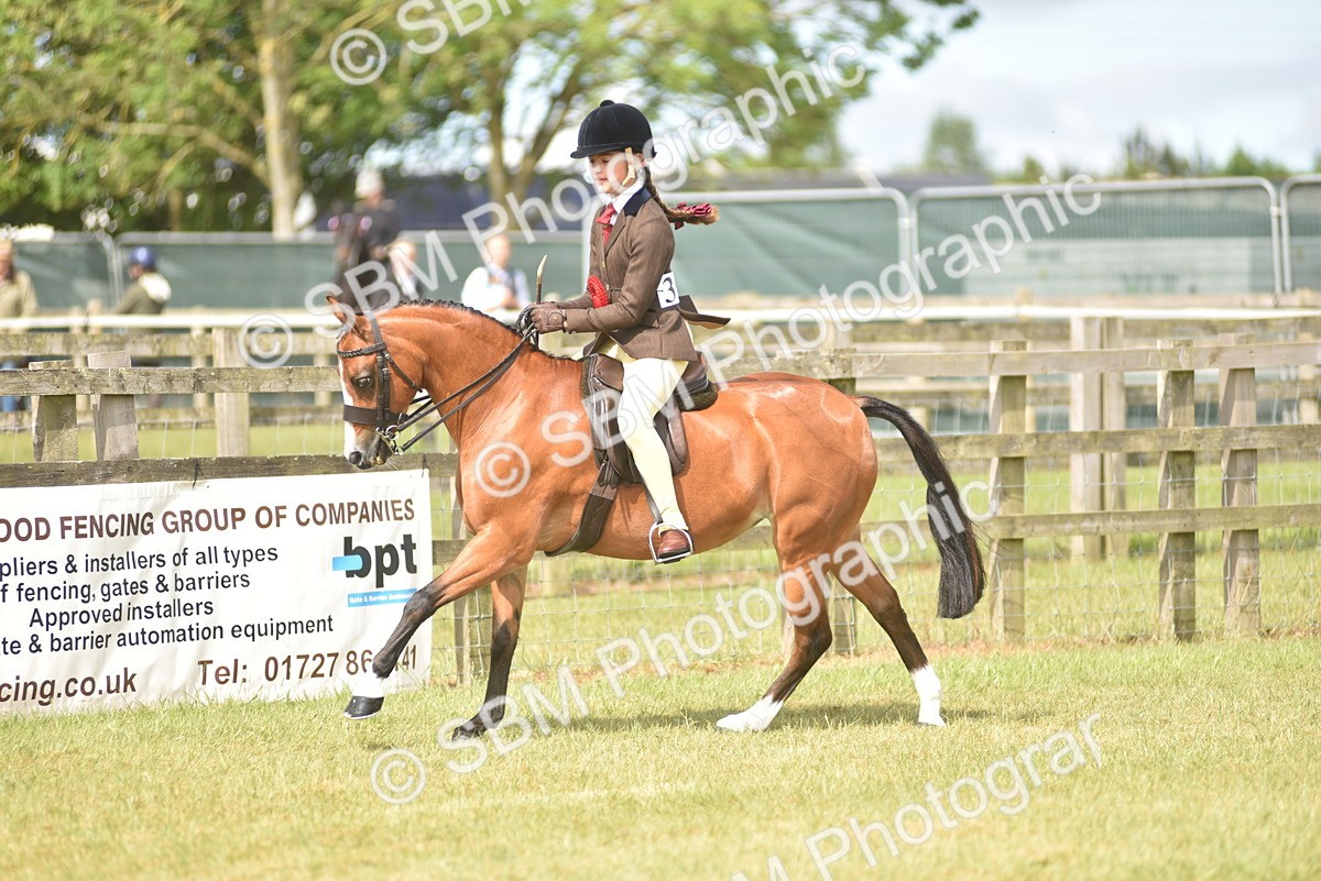 SBM_12174 - Class 110-112 - LIHS BSPS Performance Pones