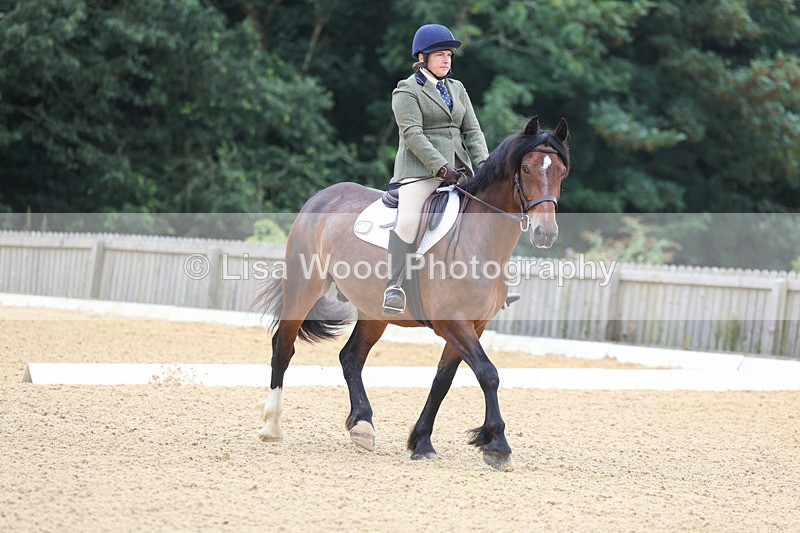 3E7A4565 - Class 1: Intro 4 2024 section A