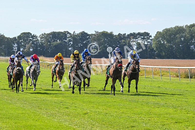 160924-Race 3-Moostar-2722 - Race 3