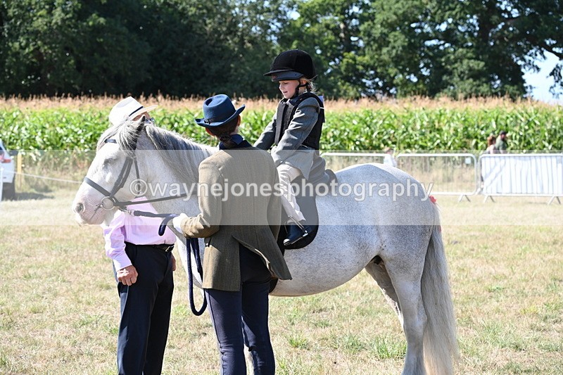 WJ6_7906 - Class 36 Lead Rein