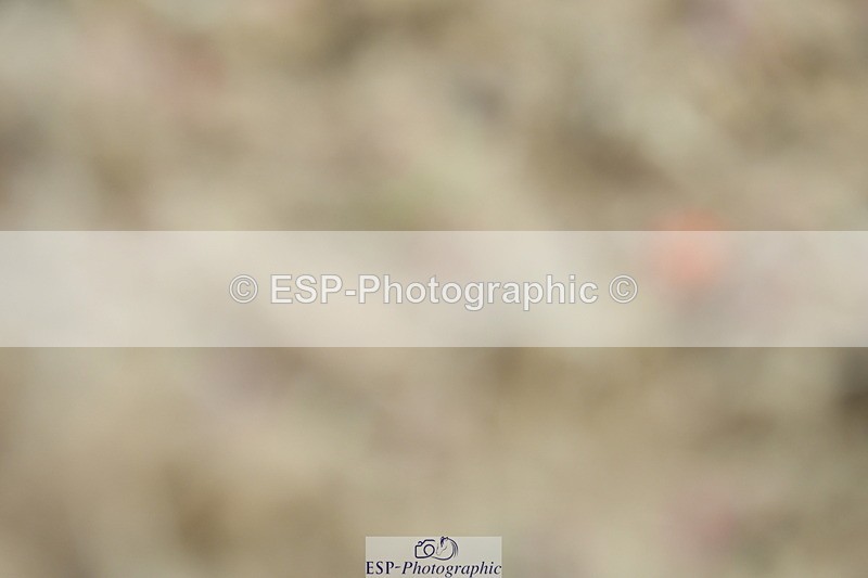 230630A-101606-00055 - Cls 6 Music Novice