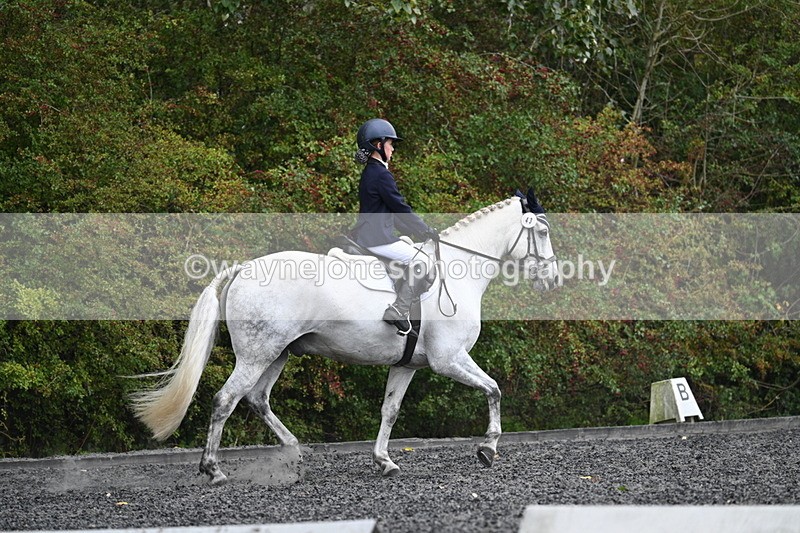 WJ7_6577 - Time 14:49 to 15:14