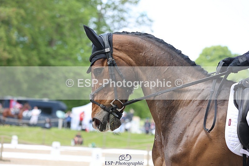 240523-114039-03583 - 222-KILCANNON_SENSATION-Harry_Meade