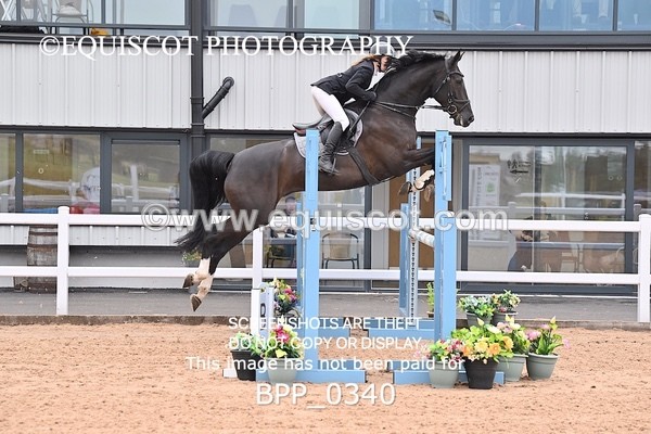 BPP_0340 - CLASS 26 SUN 5 Year Old Non Qualifier