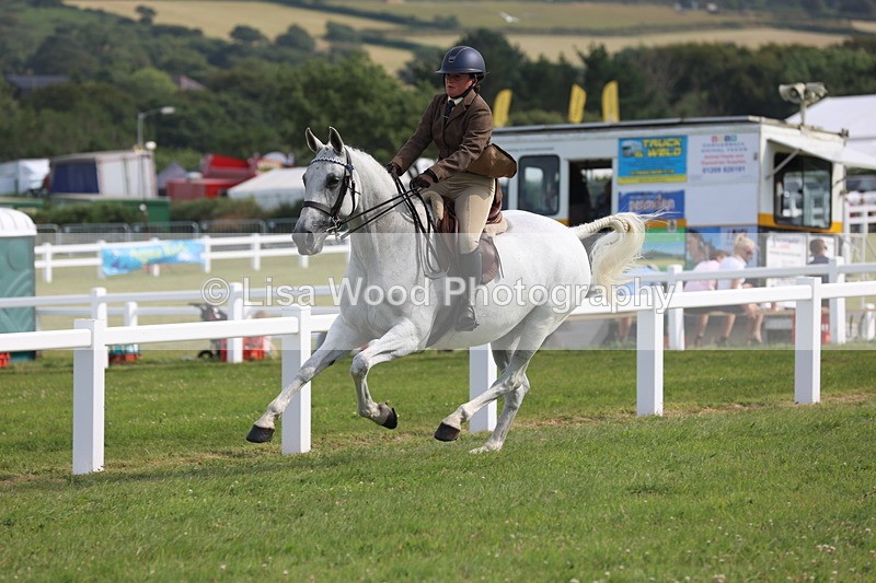 JPP_4273 - Class 25: Working Show Horse