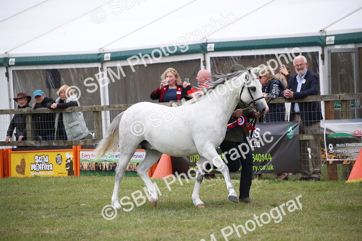 SBM_09800 - Ch 50 - Price Family Supreme In Hand