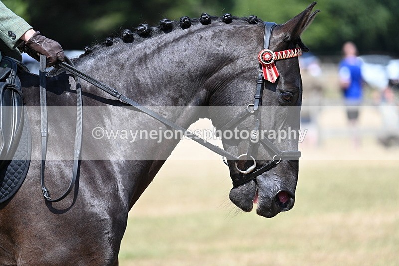 WJ7_3563 - Class 8 Ridden Veterans
