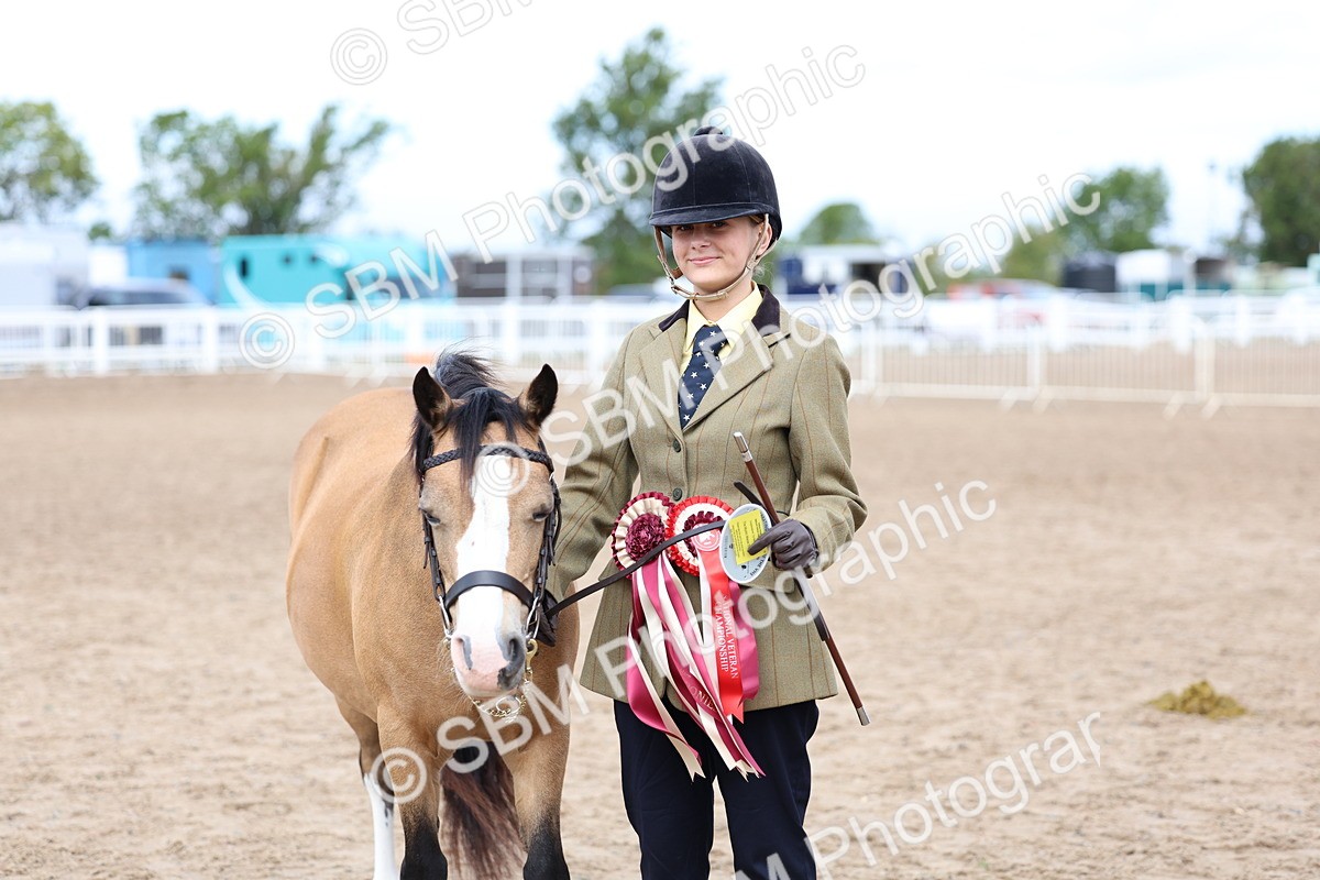 SBM_01526 - Class 17 - Prettiest Mare