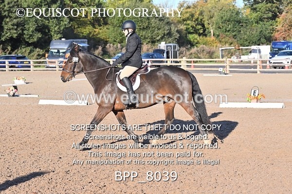 BPP_8039 - LONG ARENA