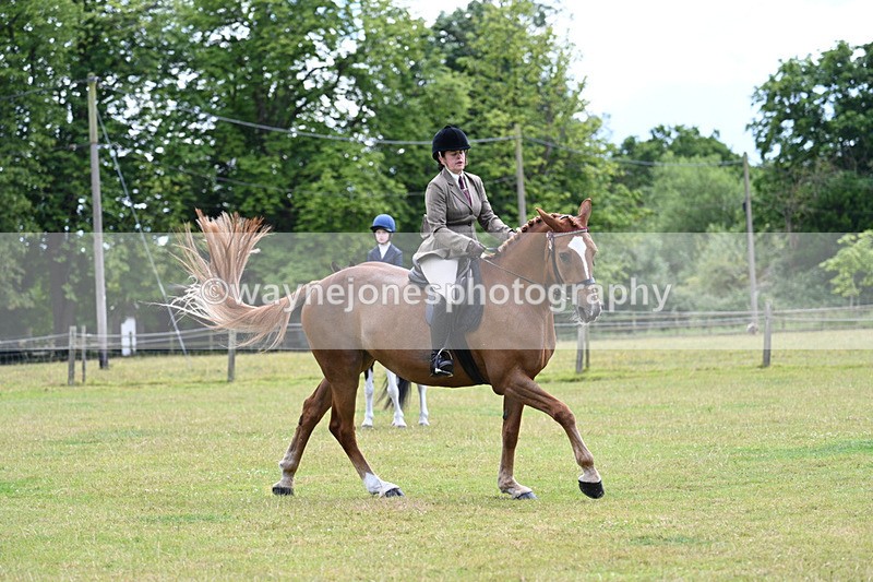 WJ7_9343 - Class 8 Ridden Veterans