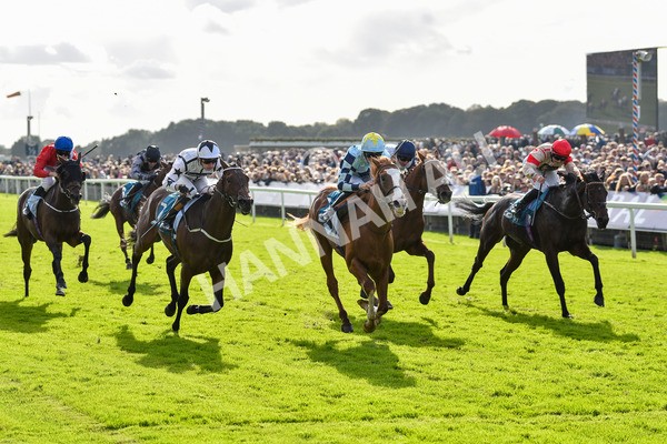 141023-Race 2-Whiskey Pete-0767 - Race 2 1.50pm Play Coral 'Racing-Super-Series' For Free Nursery Handicap