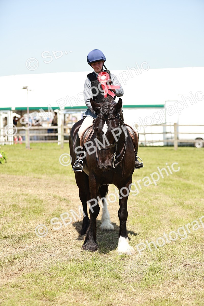 SBM_17373 - Class 110-111 - Training Stakes (70cms 80cms)