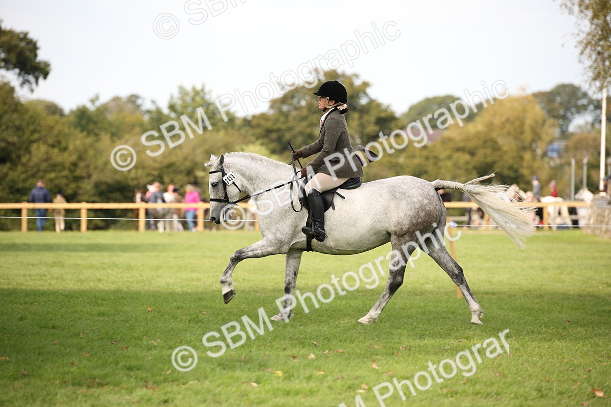 SBM_70402 - S66 - Hunter Ridden